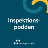 Inspektionspodden