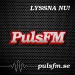 Logotyp Puls FM Borås